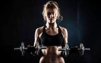 欧美健身大师高清图片,肌肉线条与力量之美